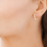 Stella Hoops