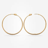 Sparkling Hoops